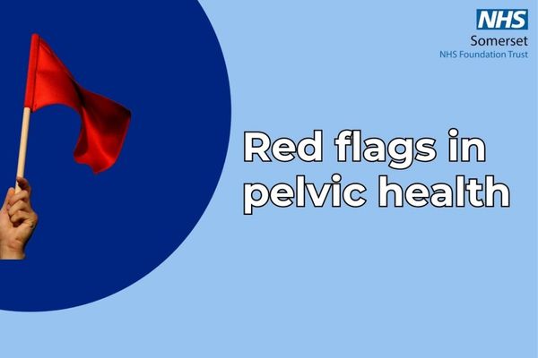 NHS Pelvic Health Videos