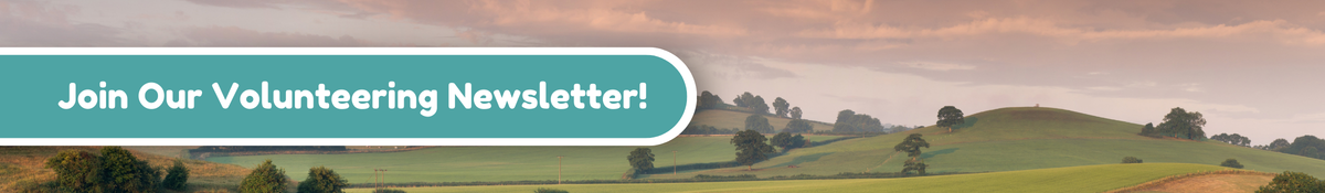 Volunteer Newsletter